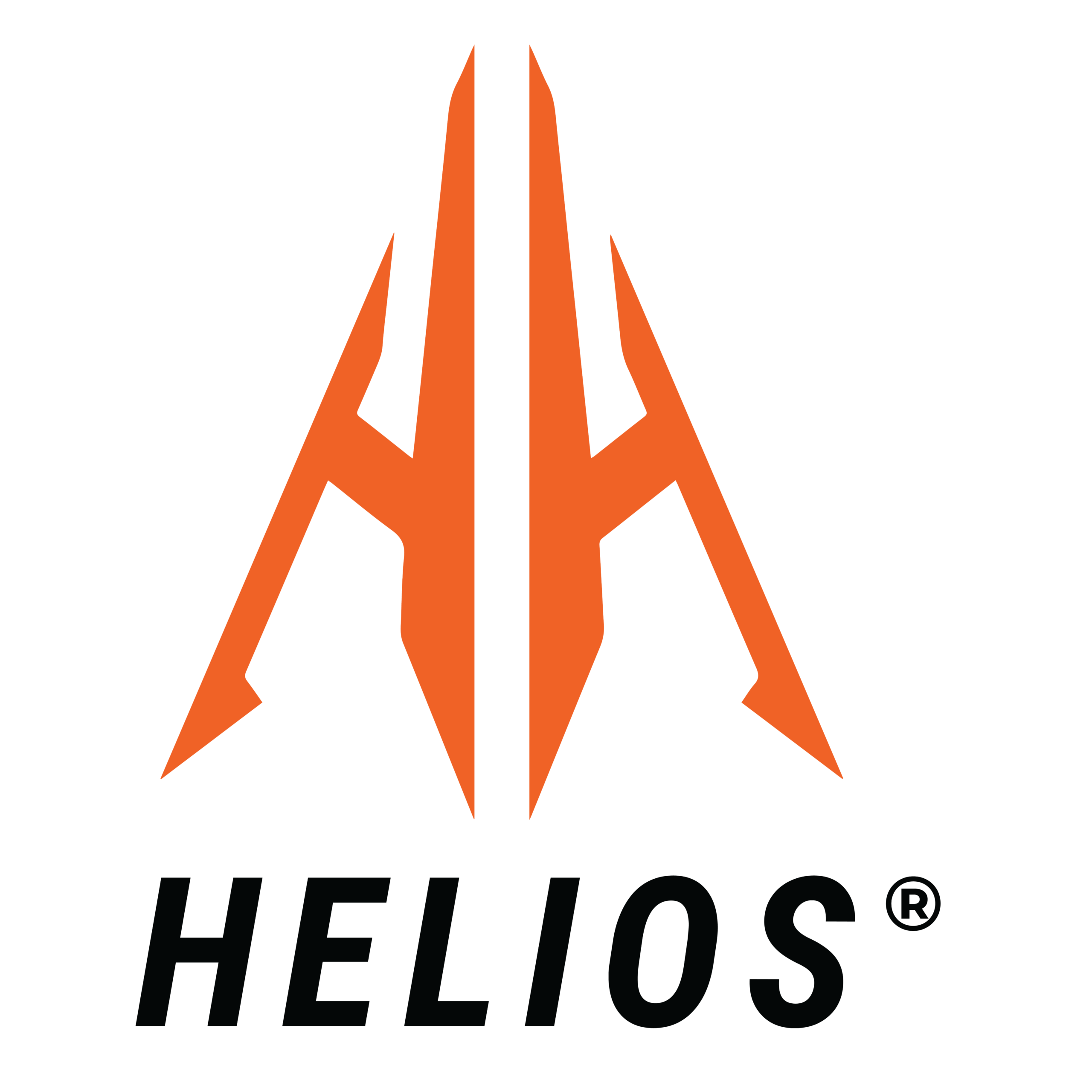 Black Logo